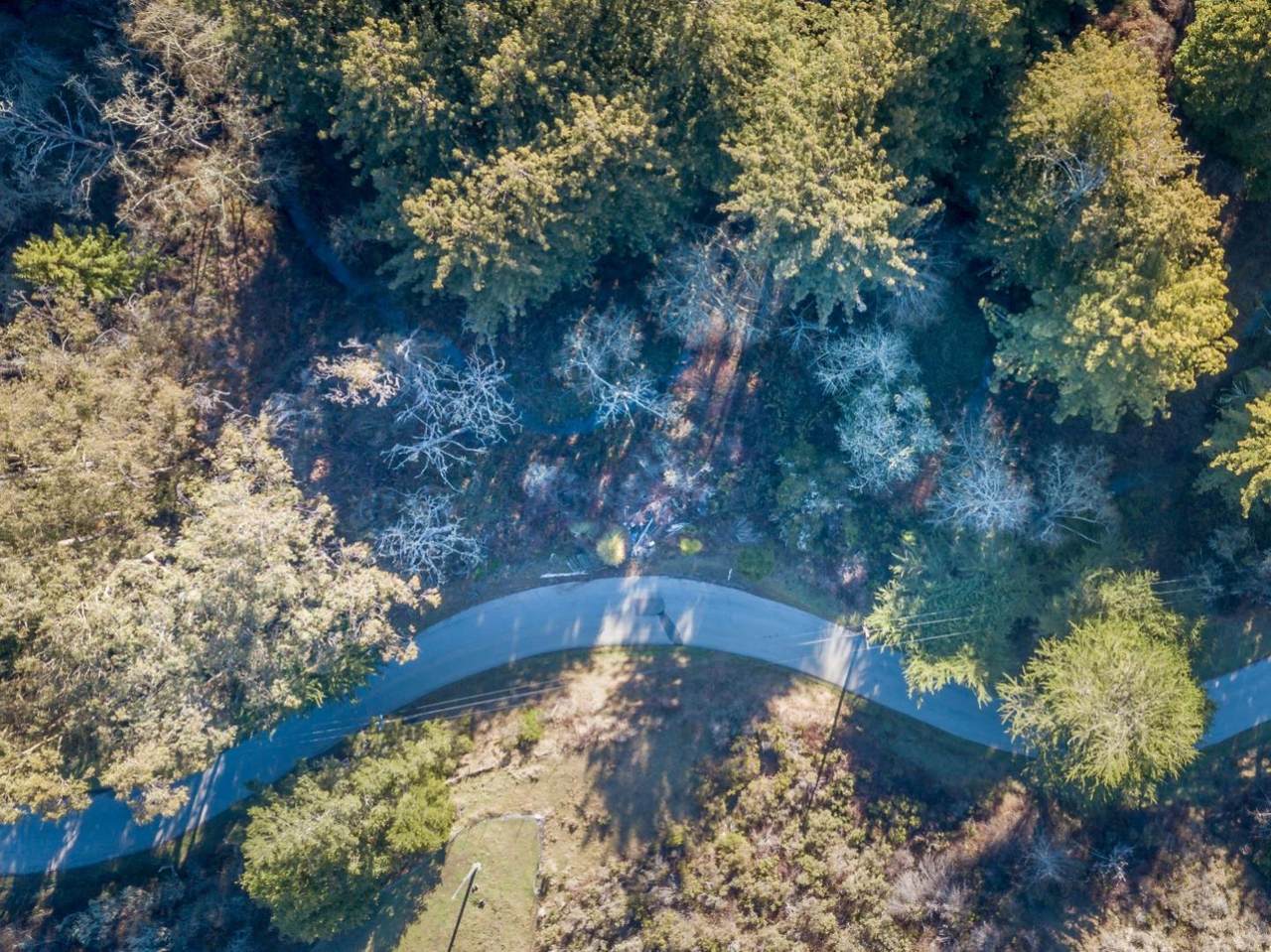 0 Tunitas Creek Rd - Photo 1