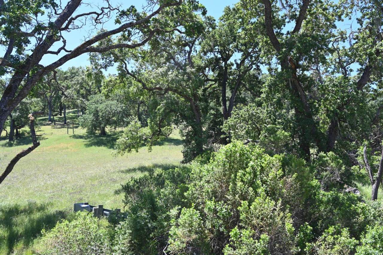 2920 Club Dr - Photo 1