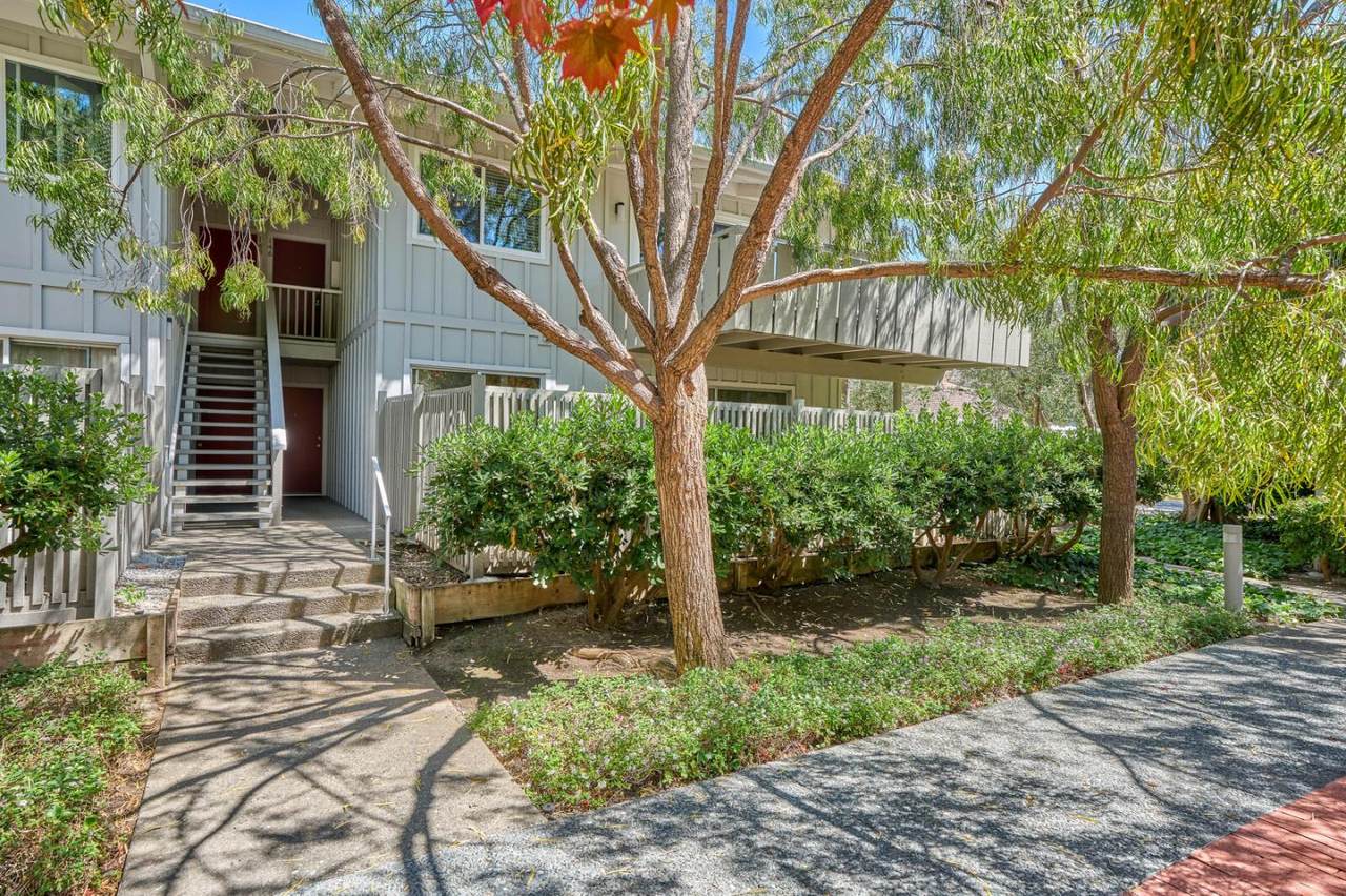 255 Rengstorff Ave 146 - Photo 1