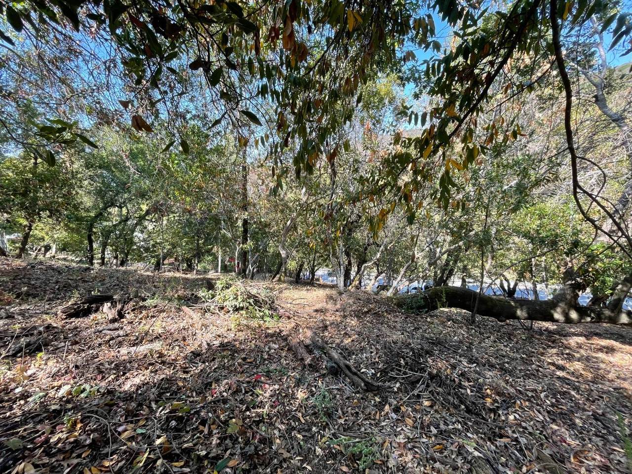 145 Foxwood Rd - Photo 1