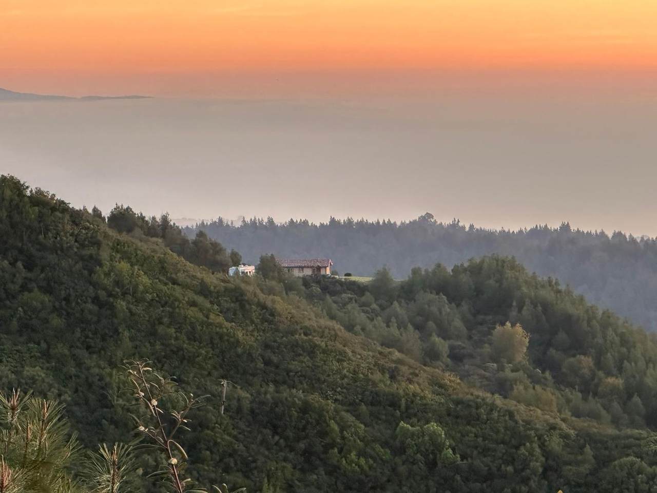 620 Maymens Flat Rd - Photo 1