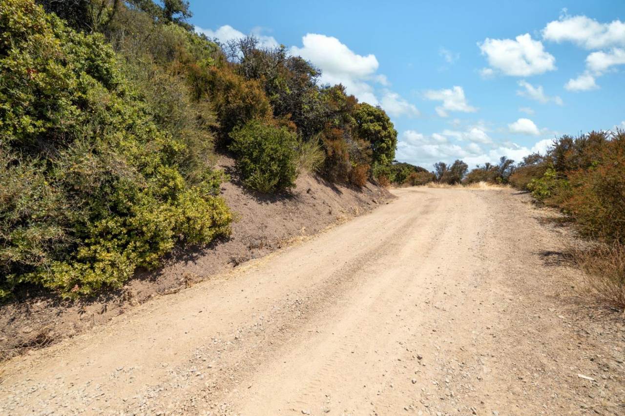 Lot 11 Bear Creek Road - Photo 1