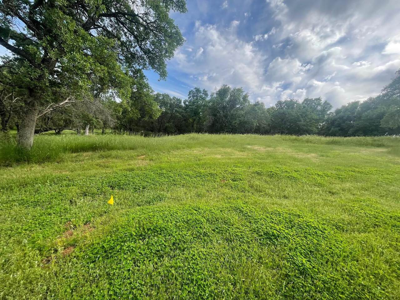 0 Avacado Rd - Photo 1