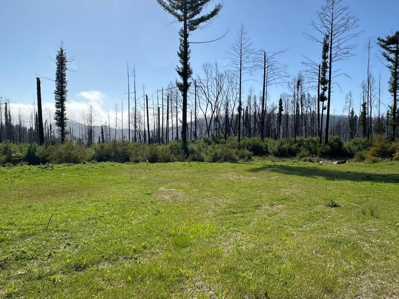 4605 Last Chance Rd - Photo 1