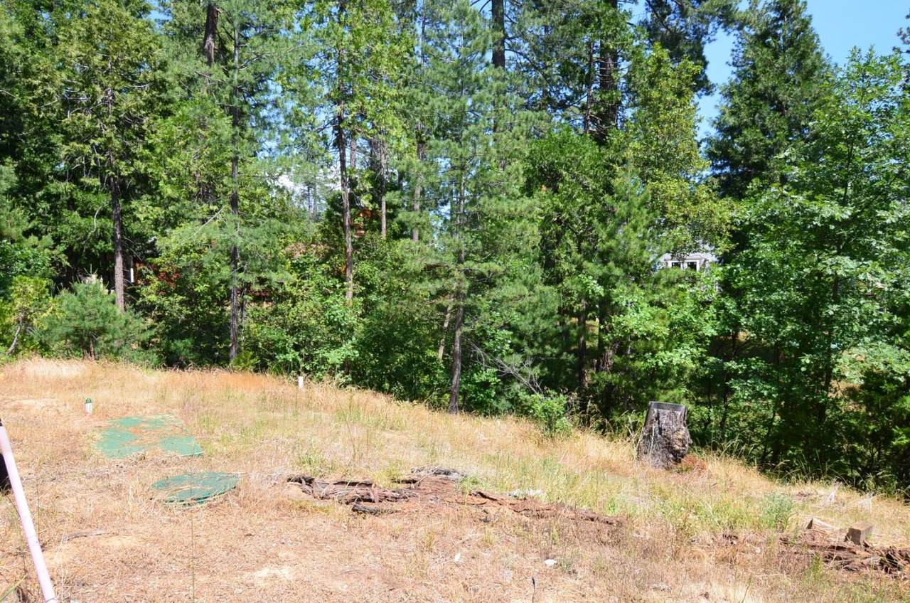 662 Roan Way - Photo 1