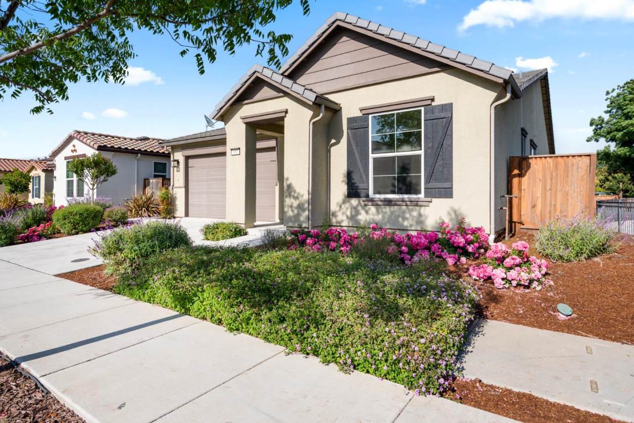 681 Segovia Dr - Photo 1