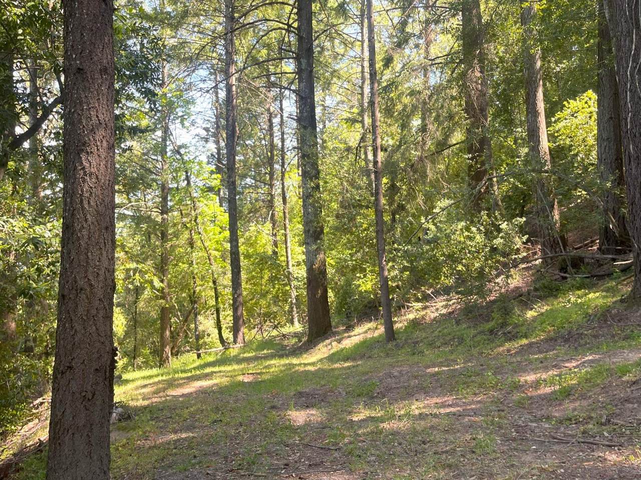 19179 Skyline Blvd - Photo 1