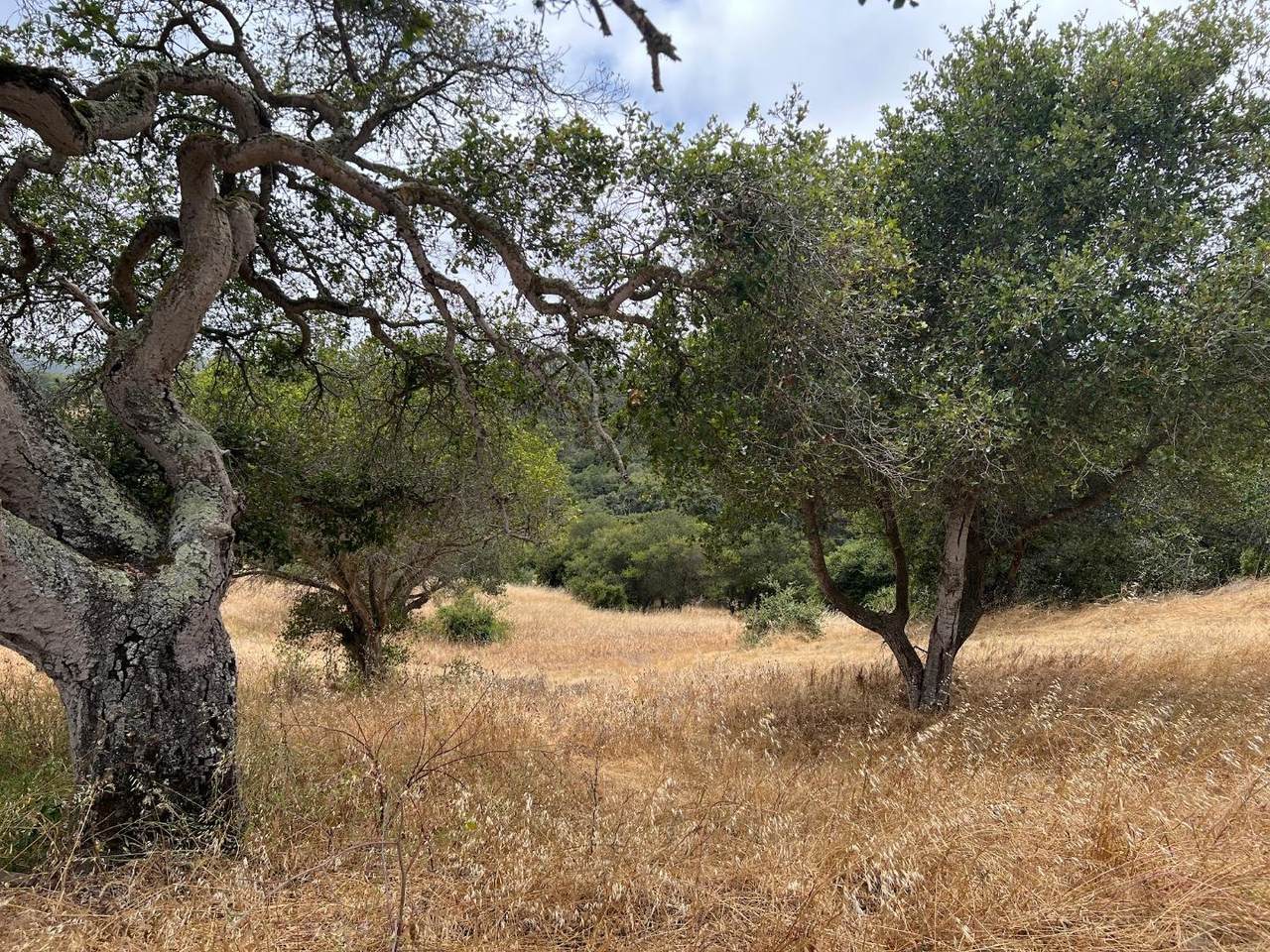 3230 Hillman Ln - Photo 1