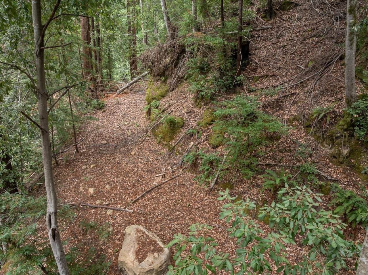 02 Bear Creek - Photo 1