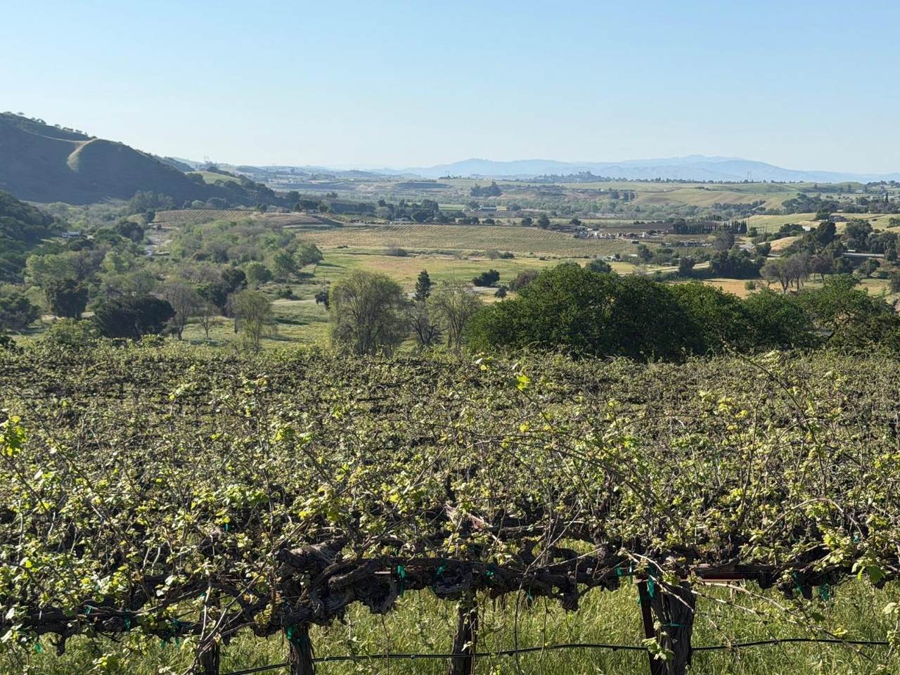 120 Acres Airline Hwy - Photo 1