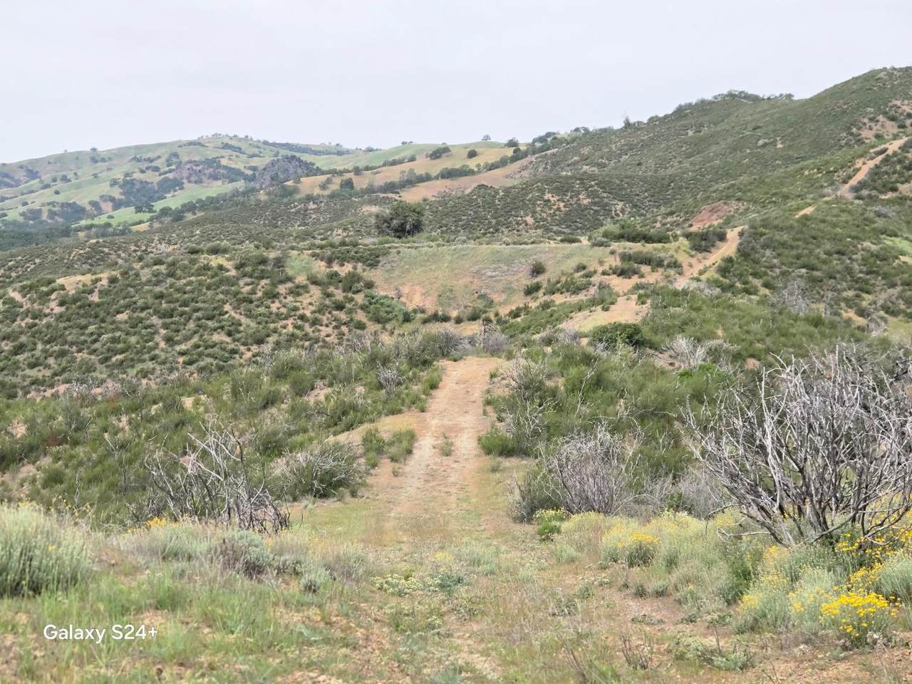 0 San Antonio Valley Rd - Photo 1