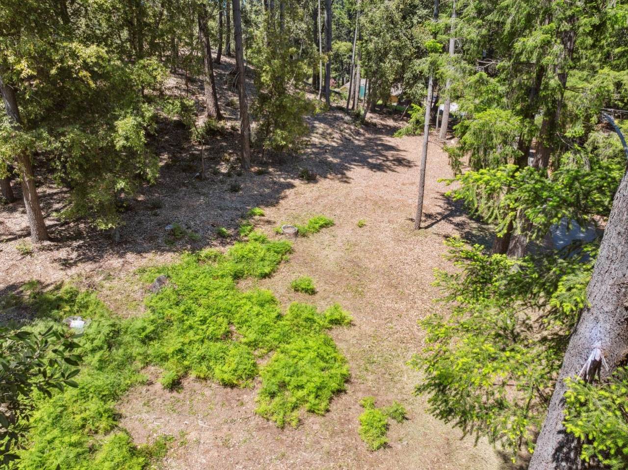 601 Westdale Dr - Photo 1