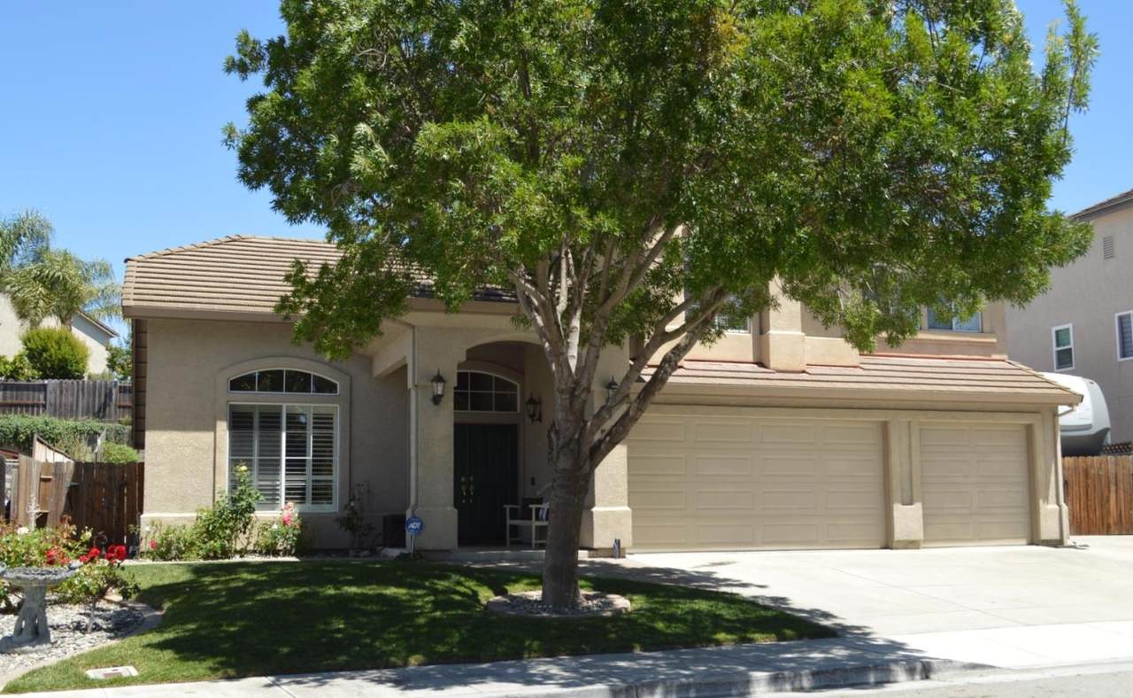 1121 Cypress St - Photo 1