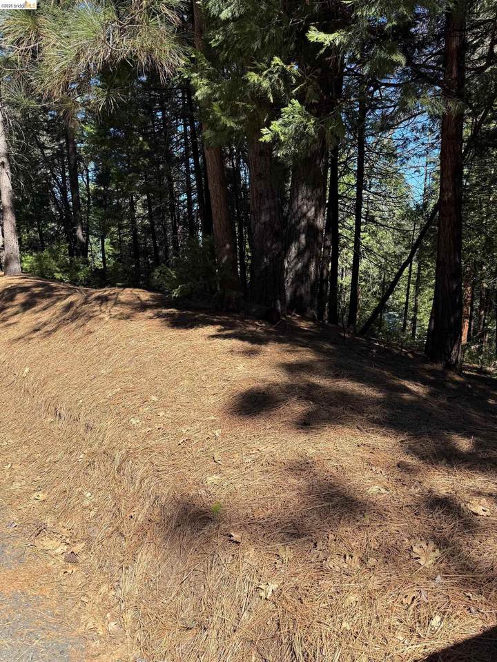 000 Lot 498 Oxbow Lane - Photo 1