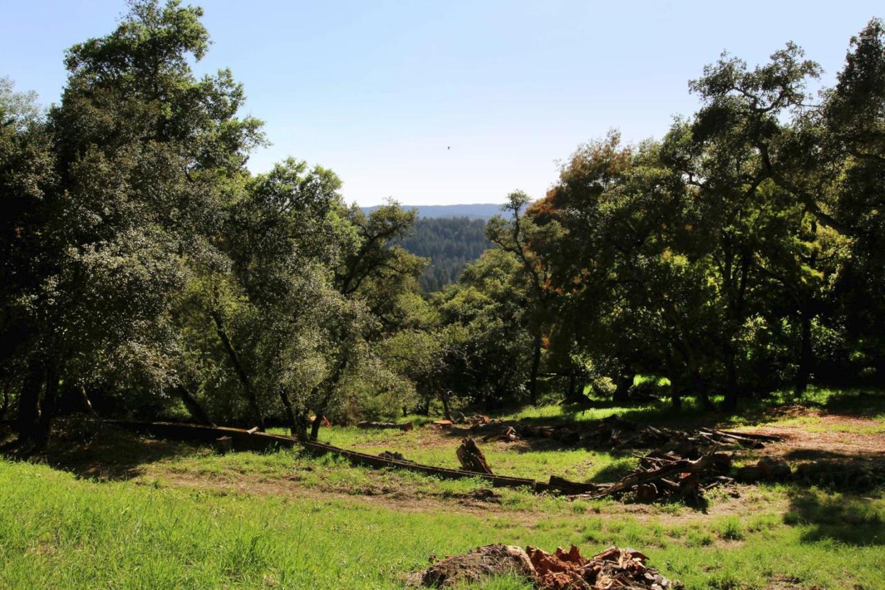 300 Sand Hill Rd - Photo 1
