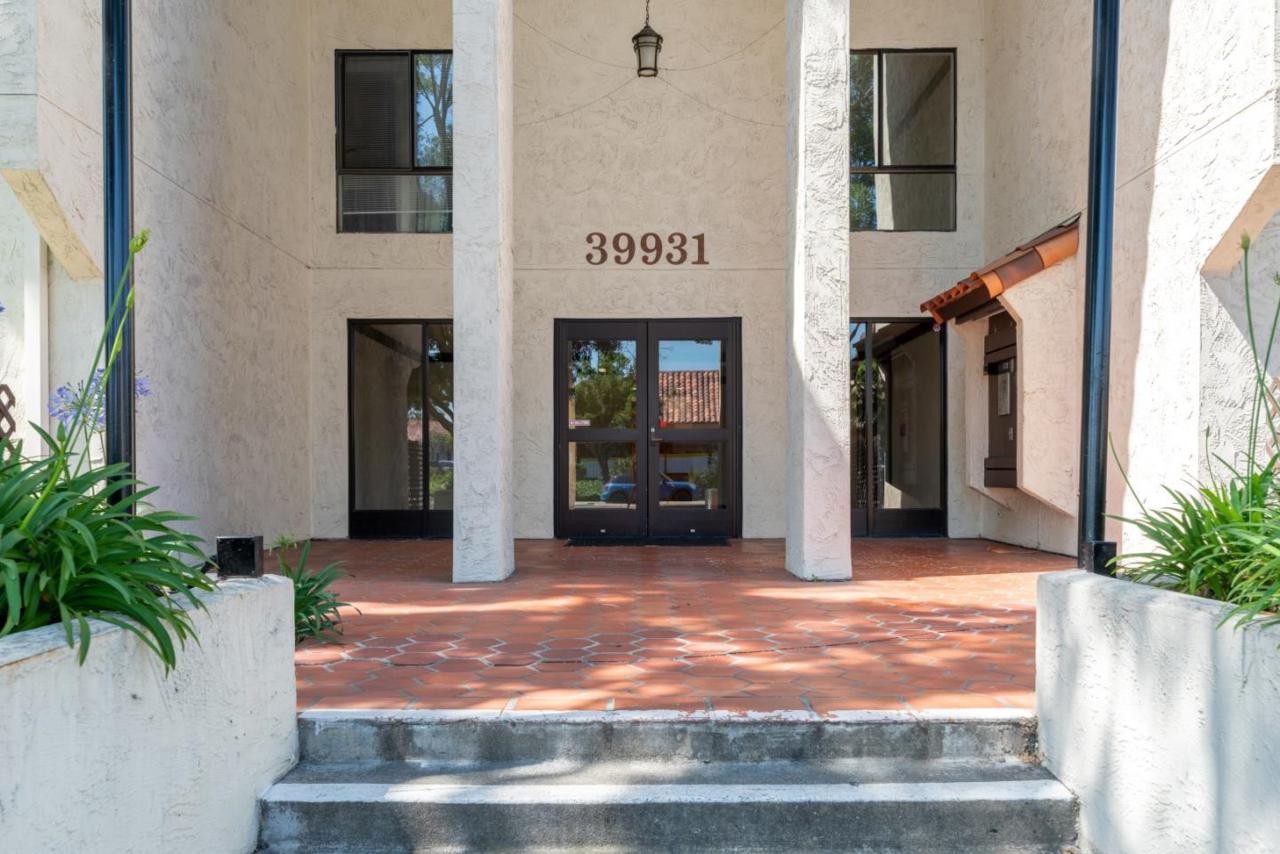39931 Cedar Blvd 101 - Photo 1
