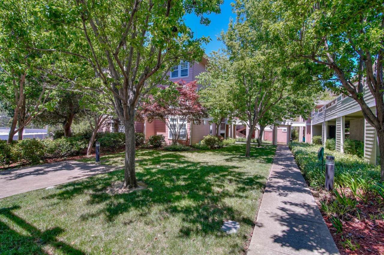 711 Swallowtail Ct - Photo 1