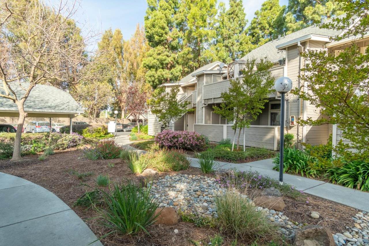 530 Shadowgraph Dr - Photo 1