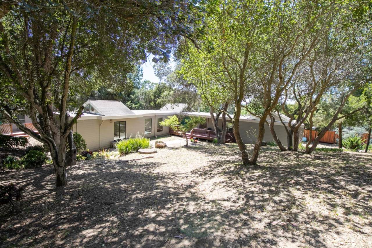 50 Carneros Rd - Photo 1