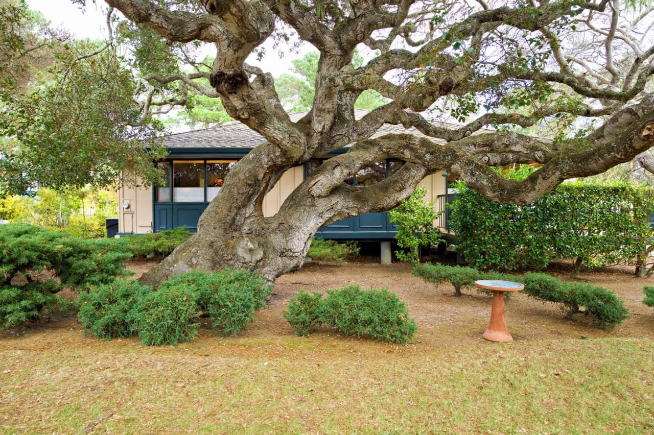 223 Del Mesa Carmel - Photo 1