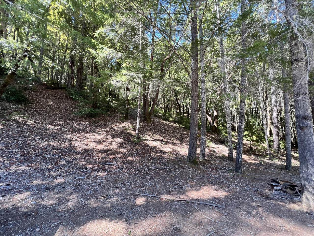 24858 Clover Rd - Photo 1