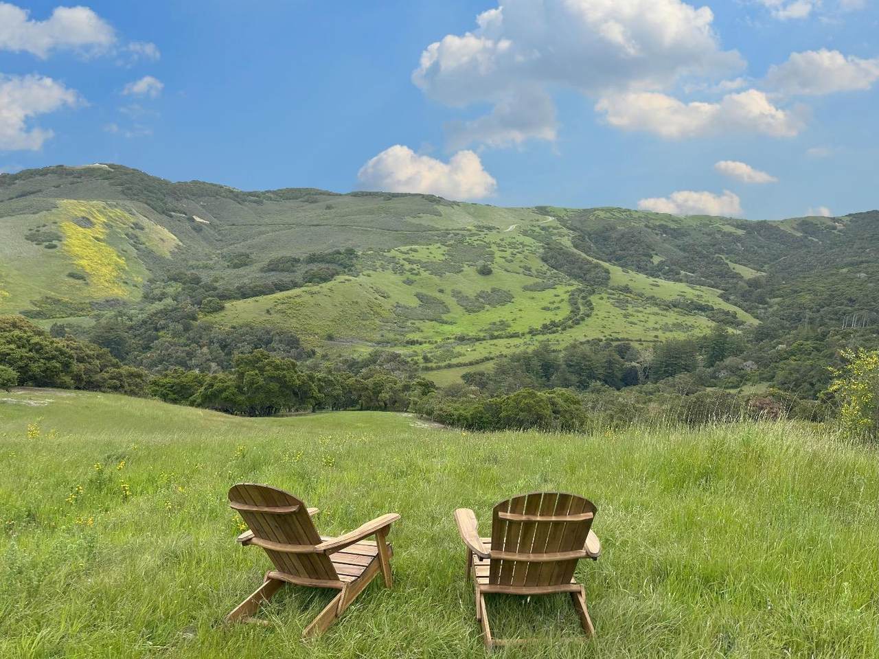 29 Potrero Trl - Photo 1