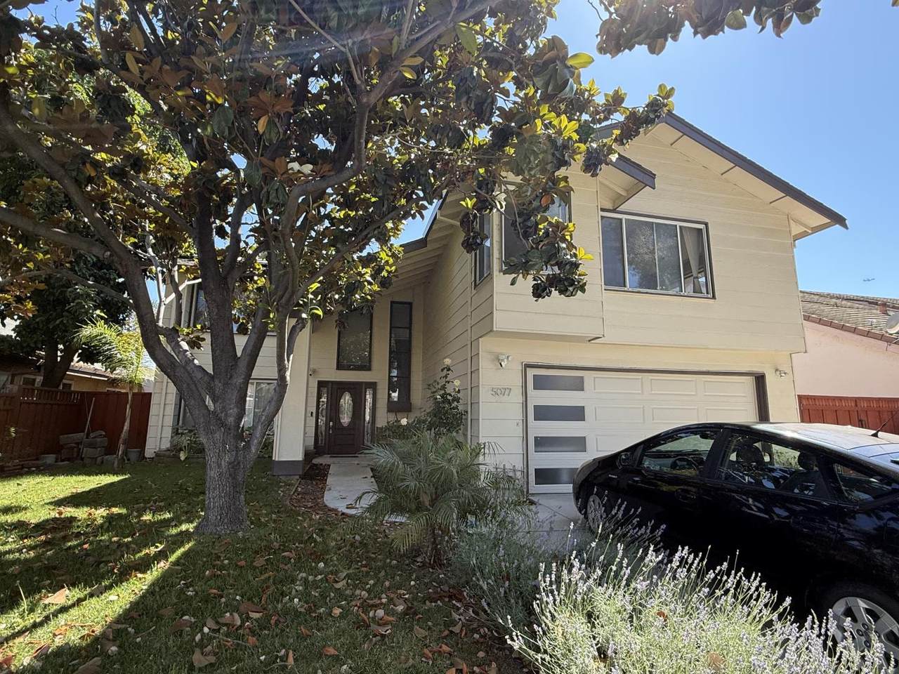 5077 Bengal Dr - Photo 1