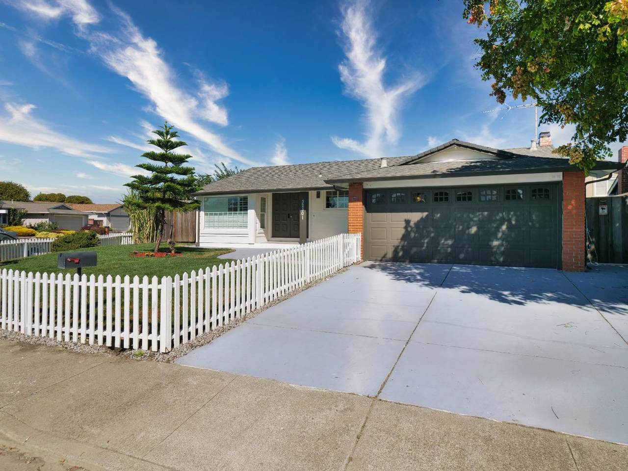 32501 Shiela Way - Photo 1