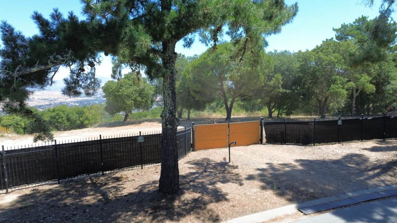 12167 Saddle Rd - Photo 1