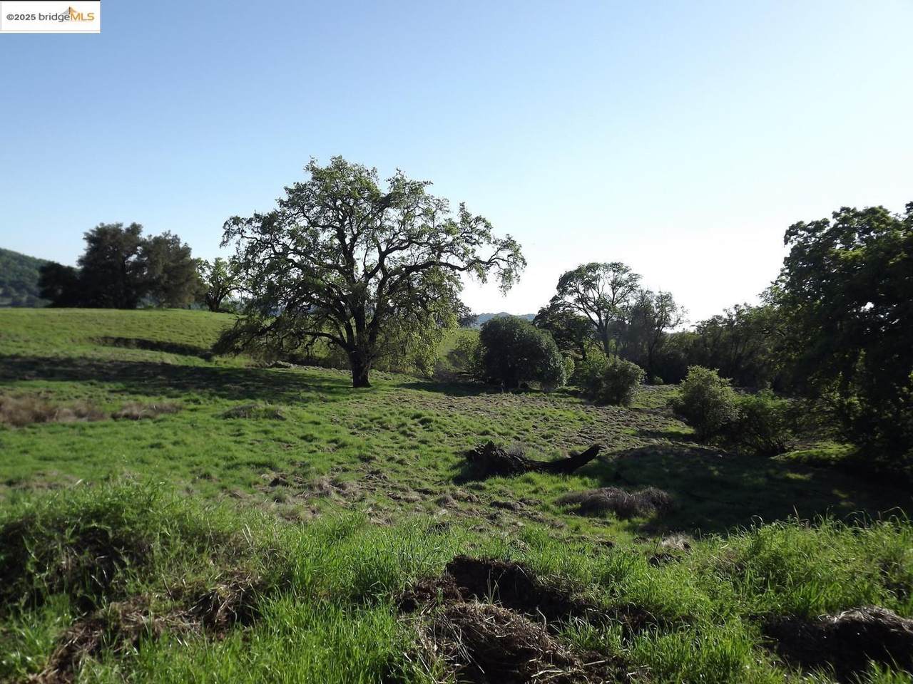 https://bt-photos.global.ssl.fastly.net/siliconv/1280_boomver_6_24075571-1.jpg
