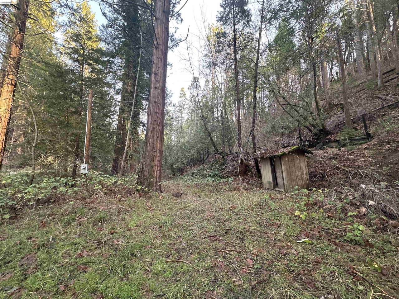 22895 Fork Rd. - Photo 1