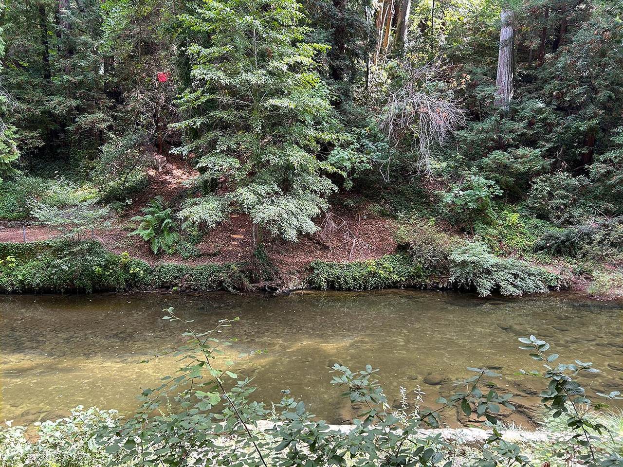 11085 Riverside Rd - Photo 1