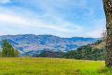 9 Long Ridge Trl - Photo 5