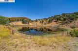 51000 Mines Rd. - Photo 28
