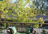 1705 Ptarmigan Drive 1A - Photo 30