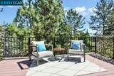 2445 Heatherleaf Lane - Photo 16