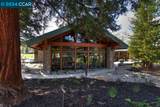 2533 Pine Knoll Dr 6 - Photo 50