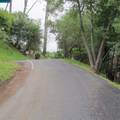 6044 Skyline Blvd - Photo 14