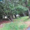 6044 Skyline Blvd - Photo 9