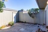 3448 Capella Ln - Photo 37
