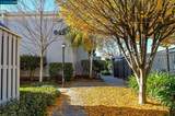 945 Bancroft 215 - Photo 21