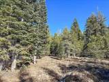 5N01 Eagle Meadow Rd - Photo 3