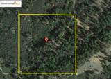 19751 Incense Cedar Trail - Photo 6