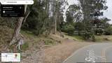 8156 Skyline Blvd - Photo 11
