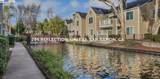 285 Reflections Dr 13 - Photo 51