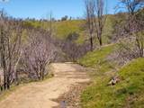 15676 Corral Hollow Rd - Photo 14