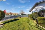 376 Albatross Ave - Photo 4