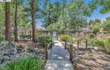 4274 Sora Ter - Photo 31