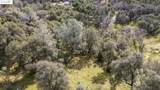 19631 Whitto Mine Rd - Photo 8