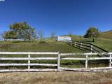 3343 Little Valley Rd Lot 4 - Photo 13